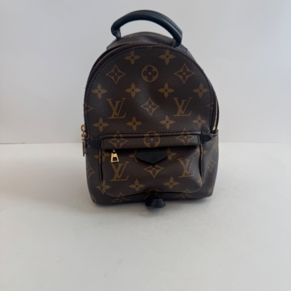 Louis Vuitton Palm Springs Mini Backpack in Monogram - Picture 3 of 16